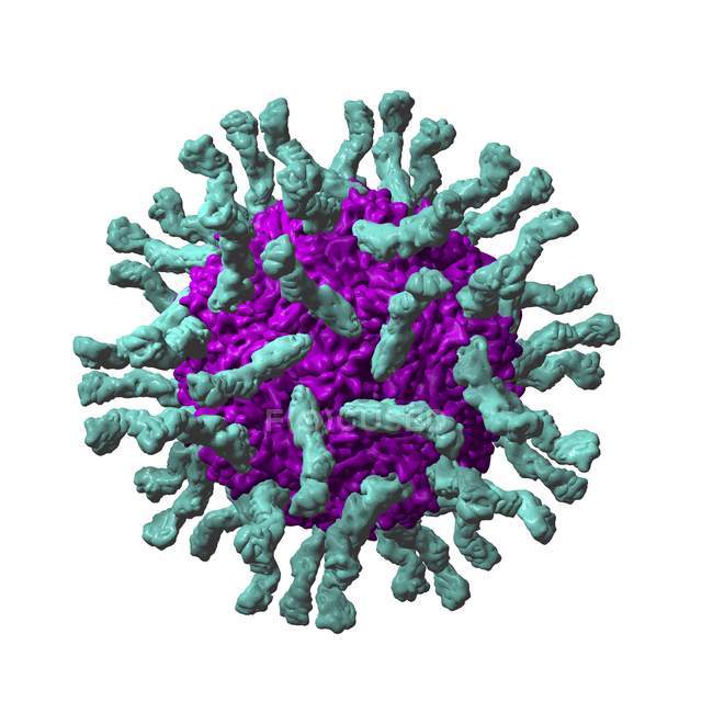 Vista de la partícula del poliovirus - foto de stock