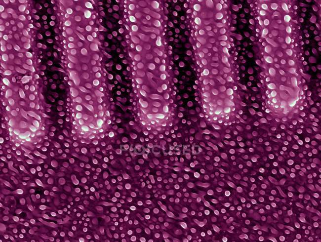 Nanostructures formées sur la surface du nickel — Photo de stock