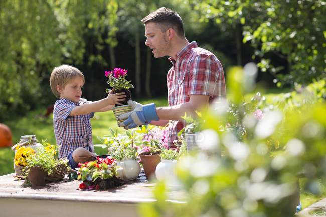 Father and son putting plant in plant pot. — Stock Photo