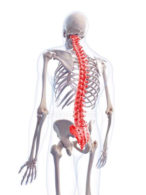 Rückenschmerzen beim Menschen — Stockfoto