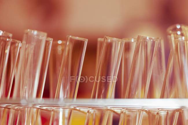 Grupo de tubos de ensaio de laboratório . — Fotografia de Stock