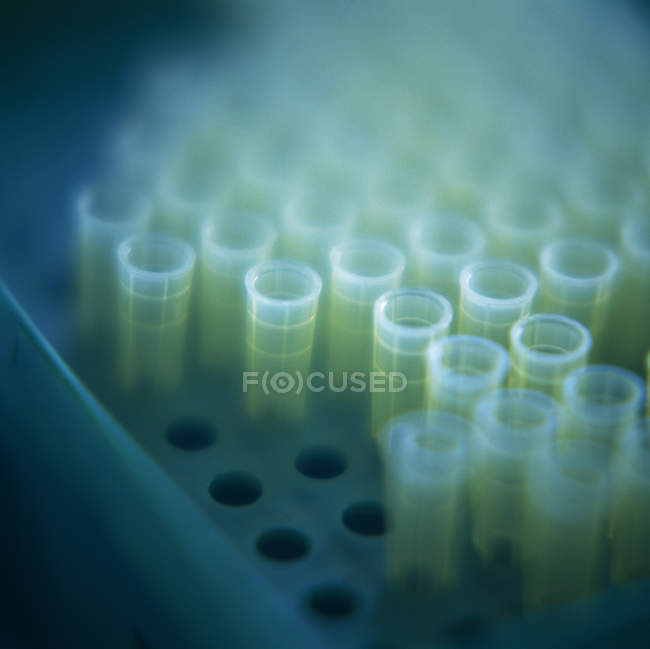 Close-up of microtubes stored in rack. — Stock Photo