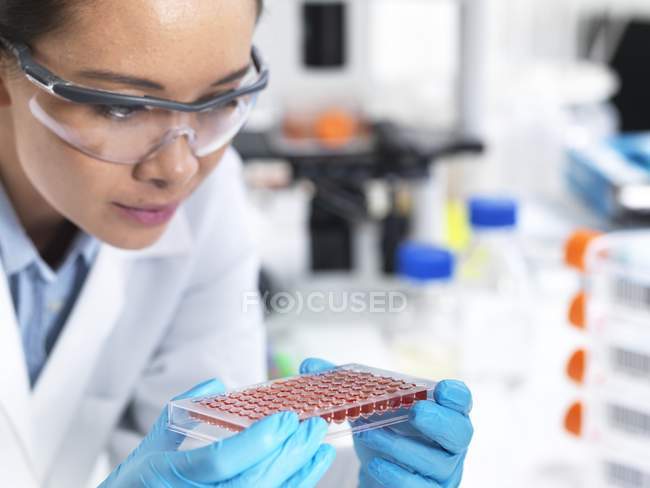 Female researcher preparing multi-well sample tray of blood for analysis. — Stock Photo