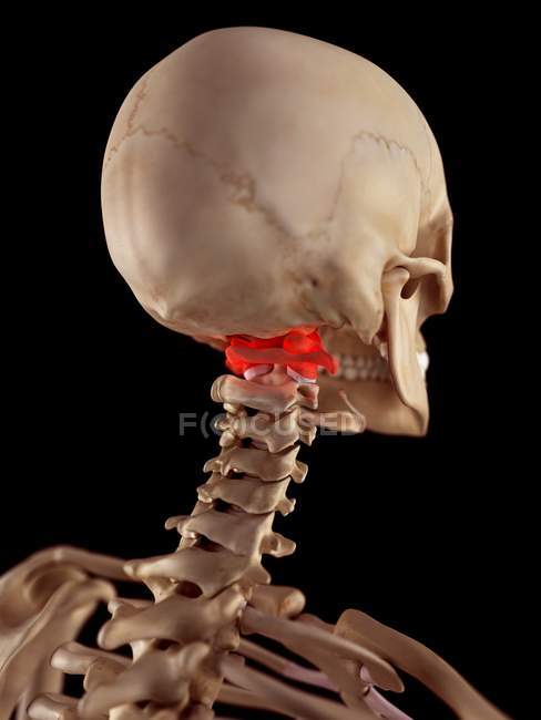 Dolor en el cuello superior humano - foto de stock