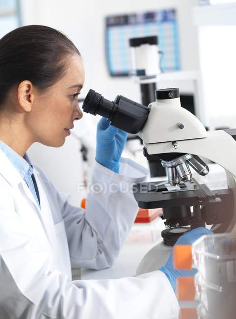 Cientista fêmea vendo amostra de tecido ao microscópio . — Fotografia de Stock