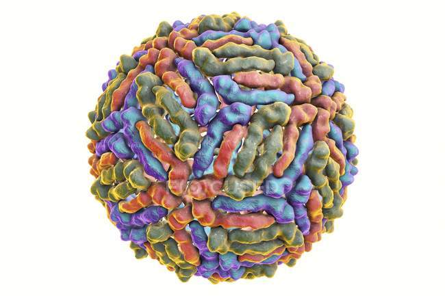 West-Nil-Virus-Teilchen — Stockfoto