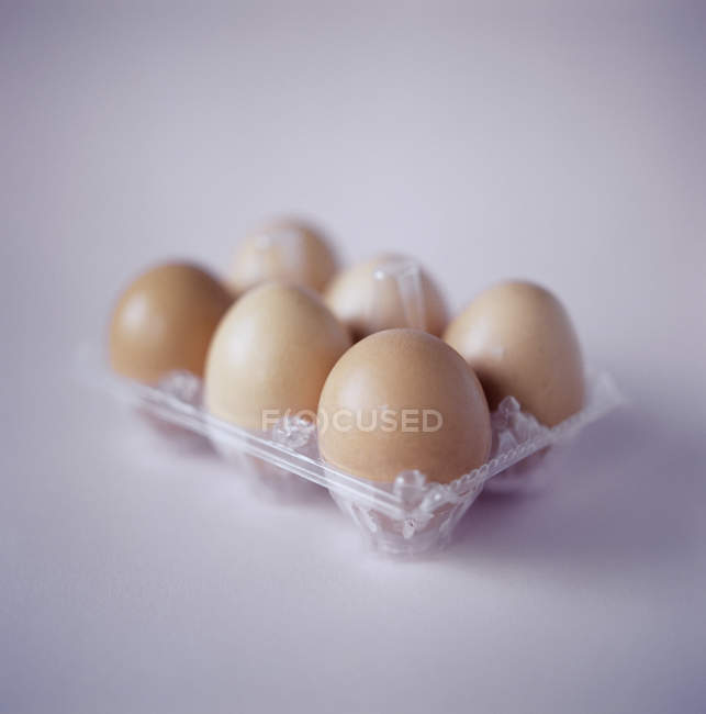 Six eggs in plastic egg carton. — Stock Photo