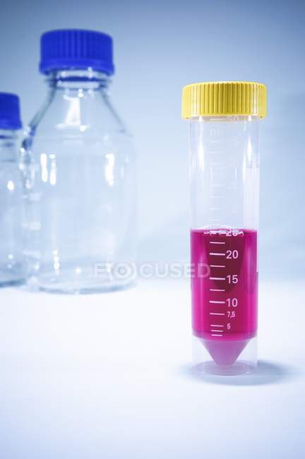 Крупним планом рожева рідина в пробірці на столі з лабораторним склом . — стокове фото