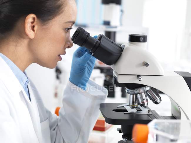 Женщина-ученый рассматривает образец ткани под микроскопом
. — стоковое фото
