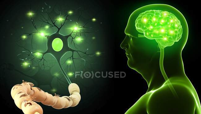 Cervello e cellule nervose — Foto stock