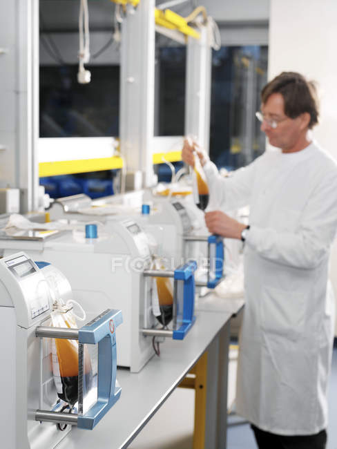 Investigador preparando bolsas de sangre donada para la separación de componentes
. - foto de stock