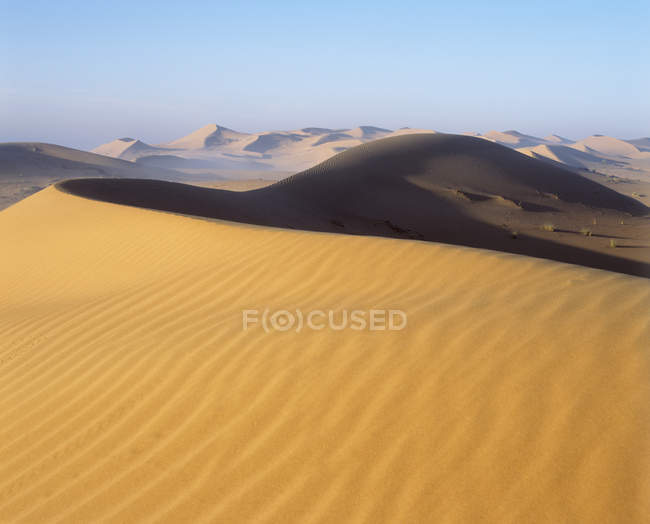 Песчаные дюны пустынь ОАЭ . — стоковое фото