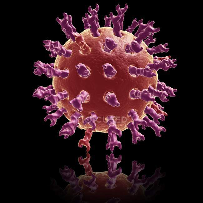 Визуальный рендеринг ротавируса — стоковое фото