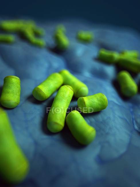 Bactéries en forme de tige — Photo de stock