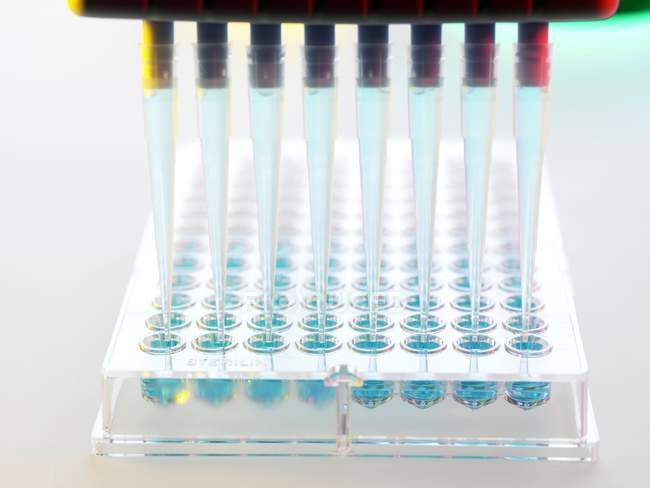 Multipipeta y cremallera de viales para investigación genética sobre fondo blanco . - foto de stock