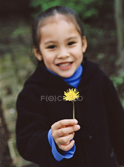 Sorrindo menina pré-escolar segurando flor de dente de leão amarelo . — Fotografia de Stock