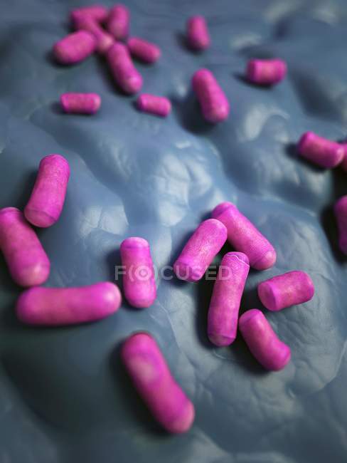 Rod-shaped bacterial infection — Stock Photo