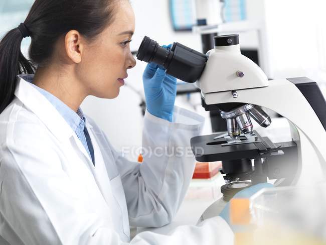 Женщина-ученый рассматривает образец ткани под микроскопом . — стоковое фото