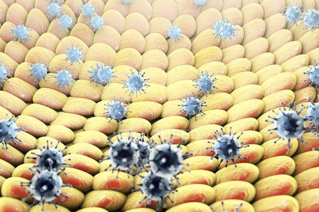 Віруси зараження людських клітин — стокове фото