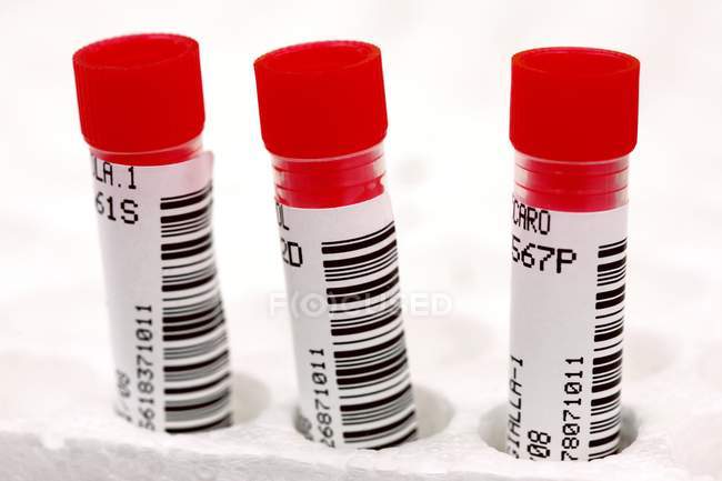 Tubos de amostras médicas rotulados com códigos de barras . — Fotografia de Stock