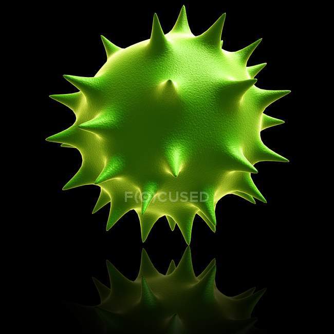 Illustration von Norovirus-Partikeln — Stockfoto