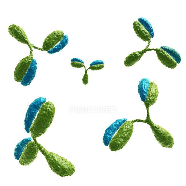 Antikörper Proteine Teilchen — Stockfoto