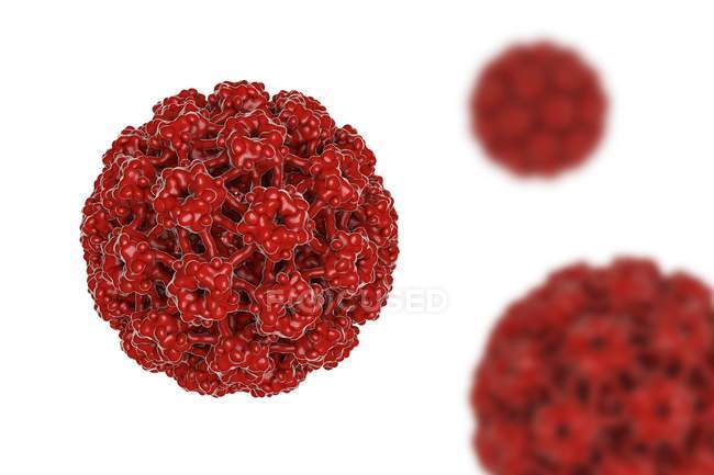 Virus du papillome humain — Photo de stock