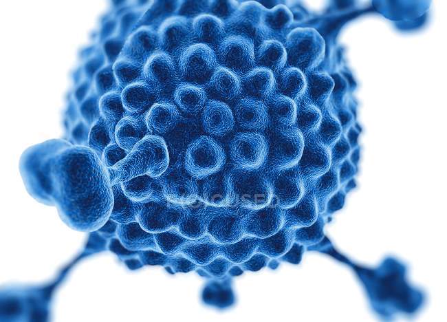 Struttura superficiale dell'Adenovirus — Foto stock
