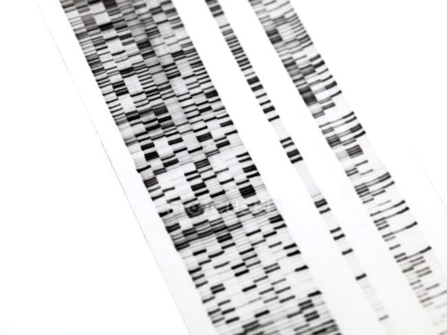 Close-up do autoradiograma de DNA sobre fundo branco . — Fotografia de Stock