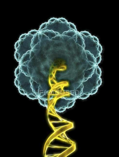 Viral DNA visualization — Stock Photo