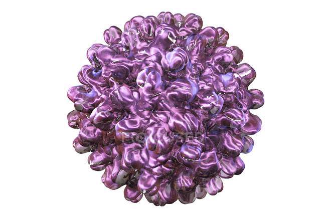 Частица вируса гепатита В — стоковое фото