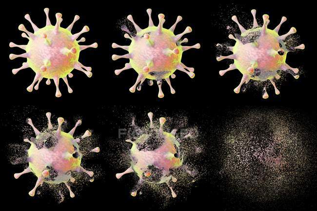 Different stages of destruction of a virus — Stock Photo