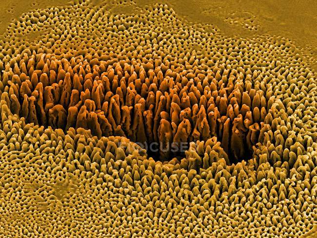 Nanostructures formed on a silicon surface — Stock Photo