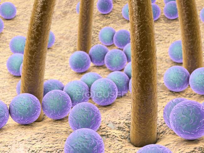 Bacterias en la piel humana - foto de stock