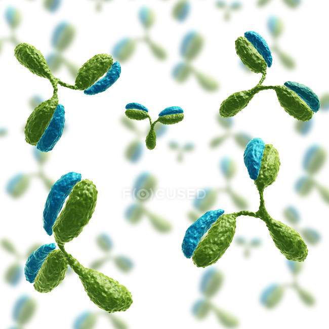Moléculas de anticorpos 1IGT — Fotografia de Stock