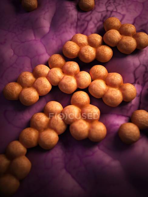 Staphylococcus aureus resistente a la meticilina - foto de stock
