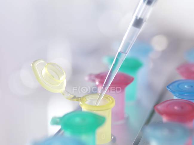 Close-up of pipetting liquid into Eppendorf tubes. — Stock Photo