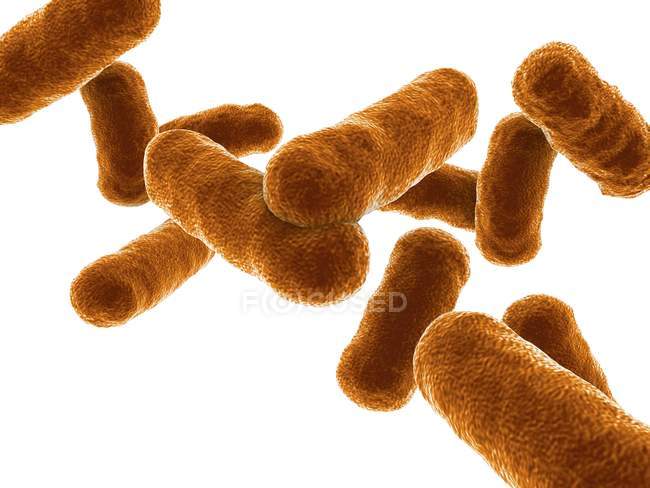 Obra de arte de bacterias en forma de barra - foto de stock
