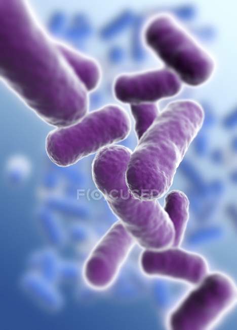 Obra de arte de bacterias en forma de barra - foto de stock