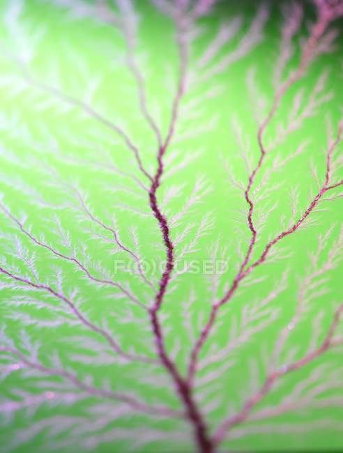 Abstract view of electron tree. — Stock Photo