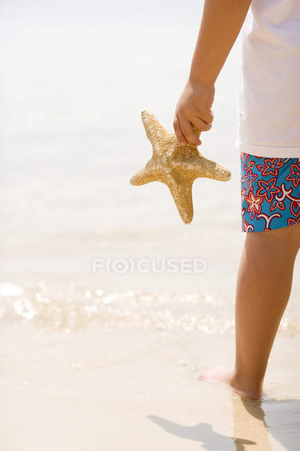 Menino segurando estrela do mar na praia . — Fotografia de Stock
