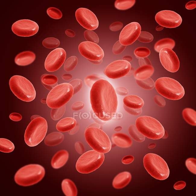 Red blood cells in blood stream — Stock Photo