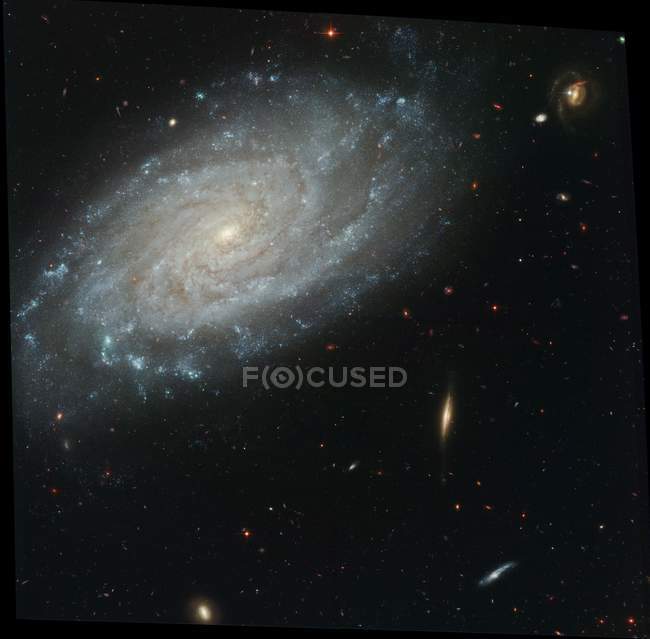 Galaxia espiral NGC 3370, imagen HST. Esta galaxia está a unos 98 millones de años luz de la Tierra
. - foto de stock