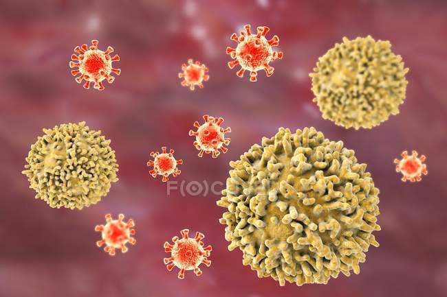 Лімфоцити нападу вірусів — стокове фото