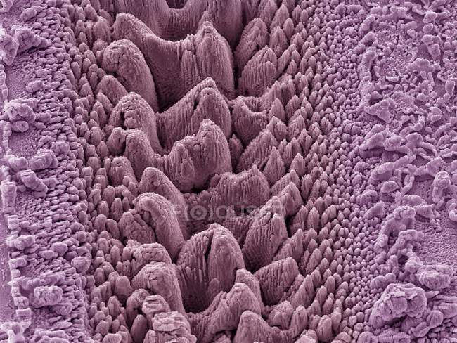 Nanostrutture formate su una superficie di titanio — Foto stock