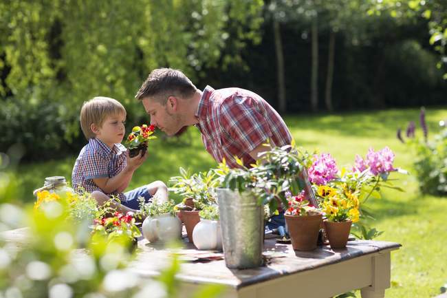 Figlio che tiene pianta con padre che annusa fiori in giardino . — Foto stock