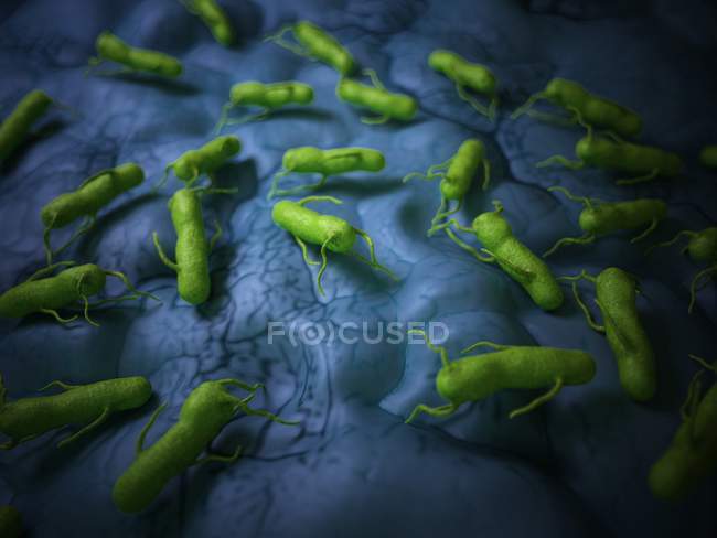 Colônia de bactérias reproduzindo na superfície do tecido — Fotografia de Stock