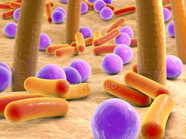 Бактерії на шкіру людини — стокове фото