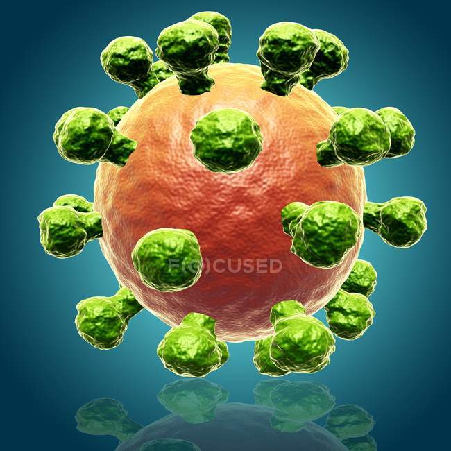 Rinovirus: causa del resfriado común - foto de stock