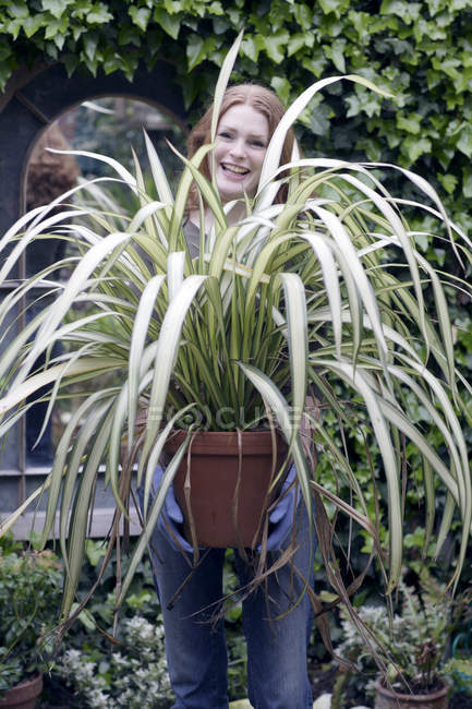 Mujer alegre sosteniendo planta en maceta . - foto de stock